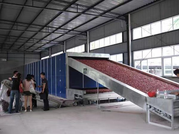 案例展示（shì）